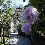 La Neffola Sorrento
