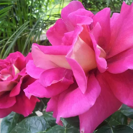 La Neffola Гостевой дом 3*