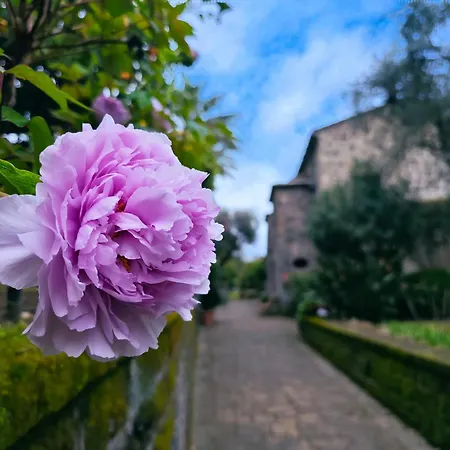 La Neffola Сорренто