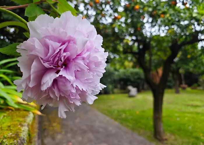 La Neffola 3* Сорренто