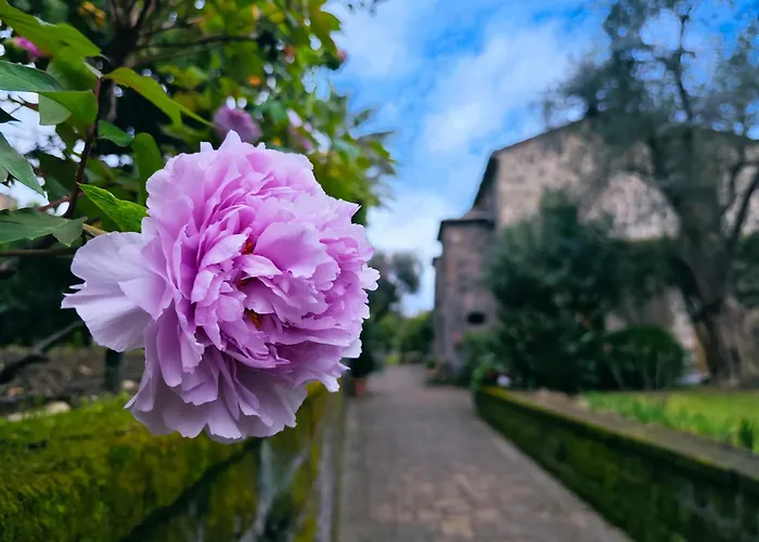 La Neffola Сорренто