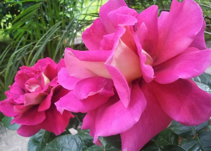 La Neffola Πανσιόν 3*