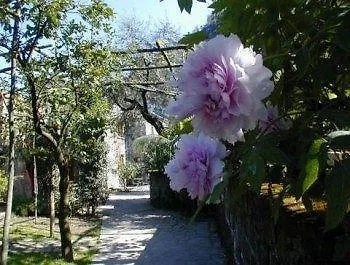 La Neffola Σορέντο