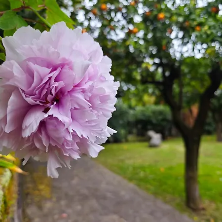 La Neffola 3* Sorrento